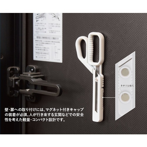 https://hakata.hands.net/item/4902562517506-5.jpg