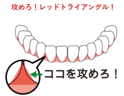 https://hakata.hands.net/item/c8ffe83bcdfc6de9d52aa235e8e72aa995613e9b.jpg