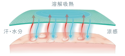 https://hakata.hands.net/item/fe21c0fa49c14c24a67cb2e4ca74b1edcf9ef30a.png